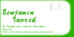 benjamin vavrek business card